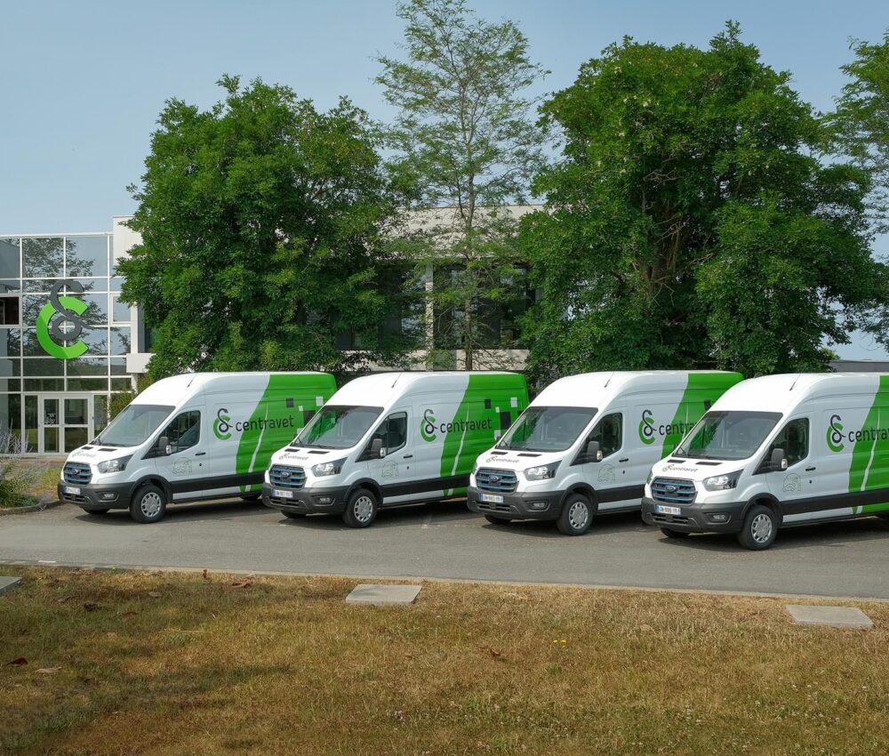 4 camionnettes électriques