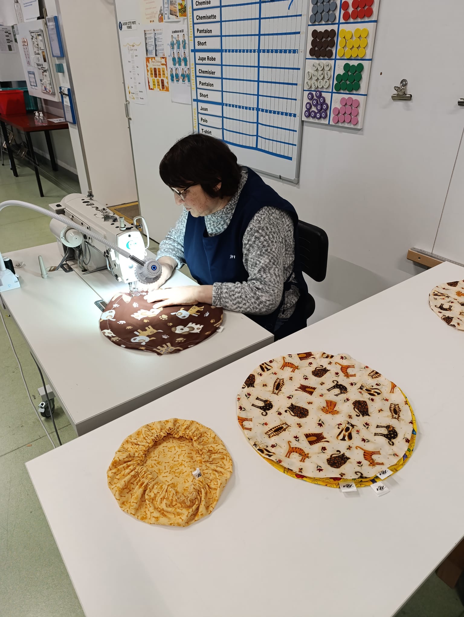 ESAT Les Ateliers de la Mabilais à Noyal-sur-Vilaine - Centravet RSE