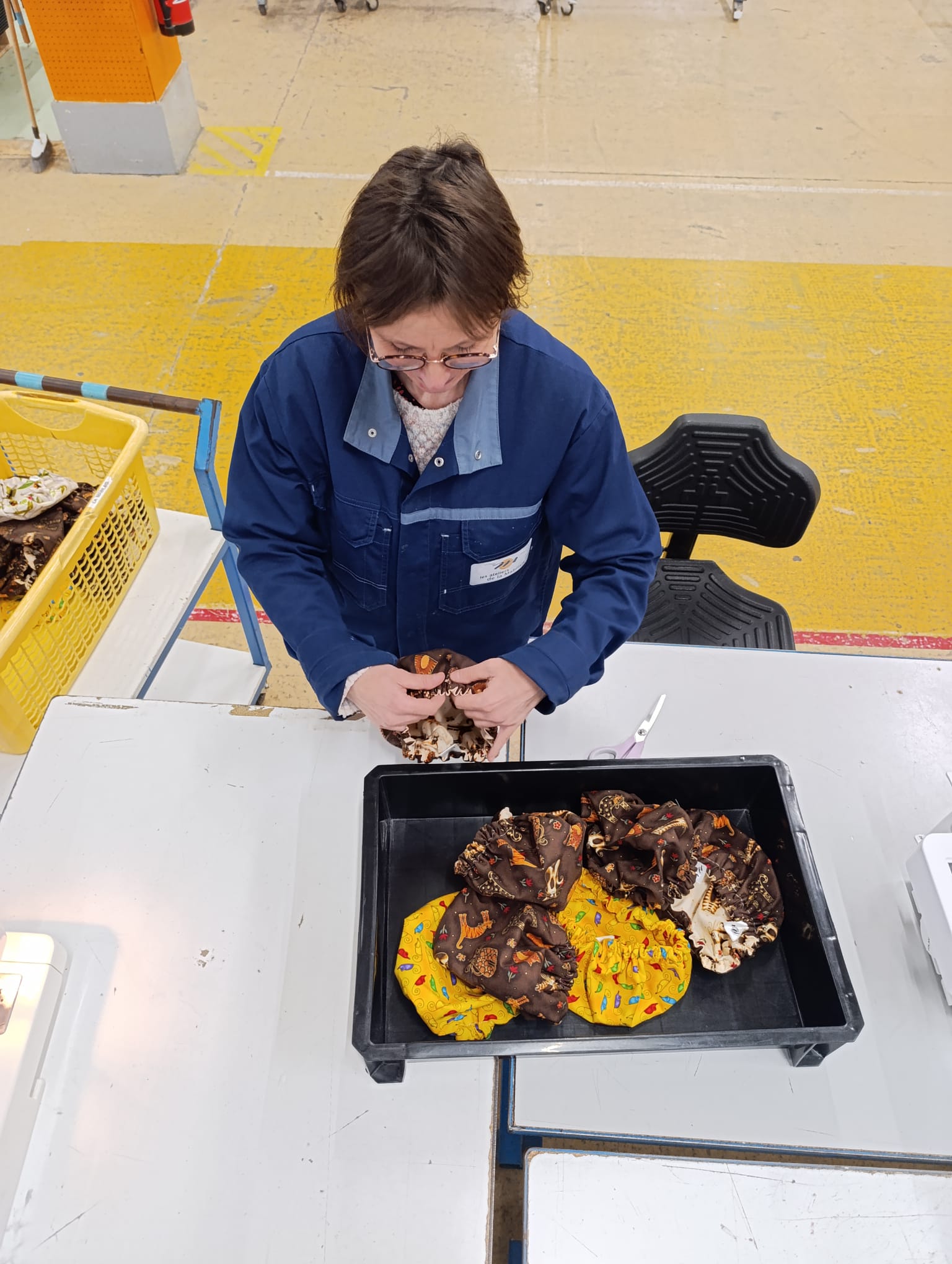 ESAT Les Ateliers de la Mabilais à Noyal-sur-Vilaine - Centravet RSE