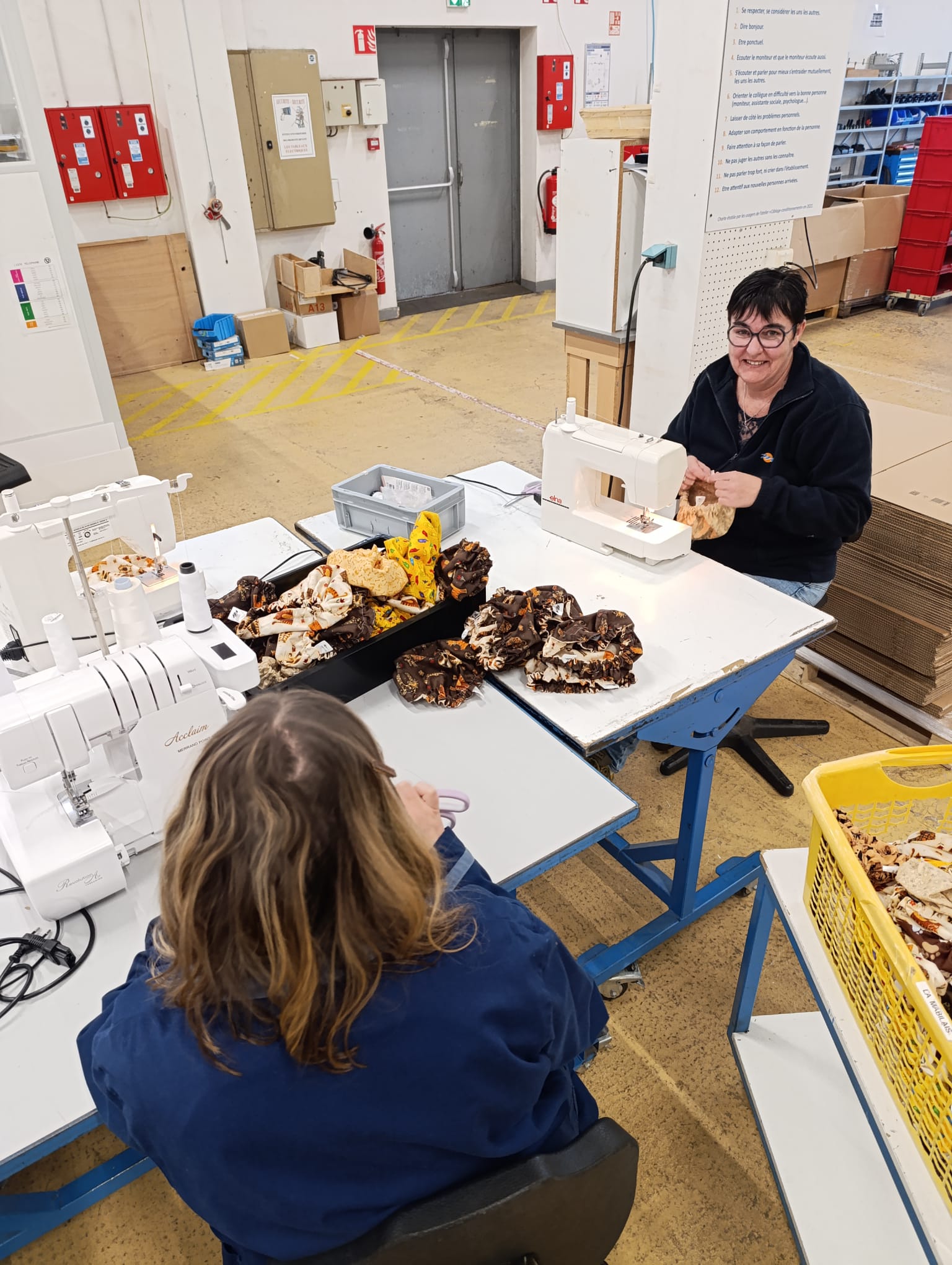 ESAT Les Ateliers de la Mabilais à Noyal-sur-Vilaine - Centravet RSE