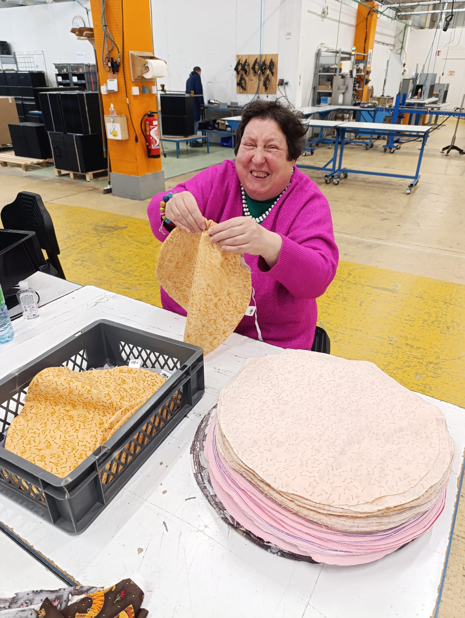 ESAT Les Ateliers de la Mabilais à Noyal-sur-Vilaine - Centravet RSE