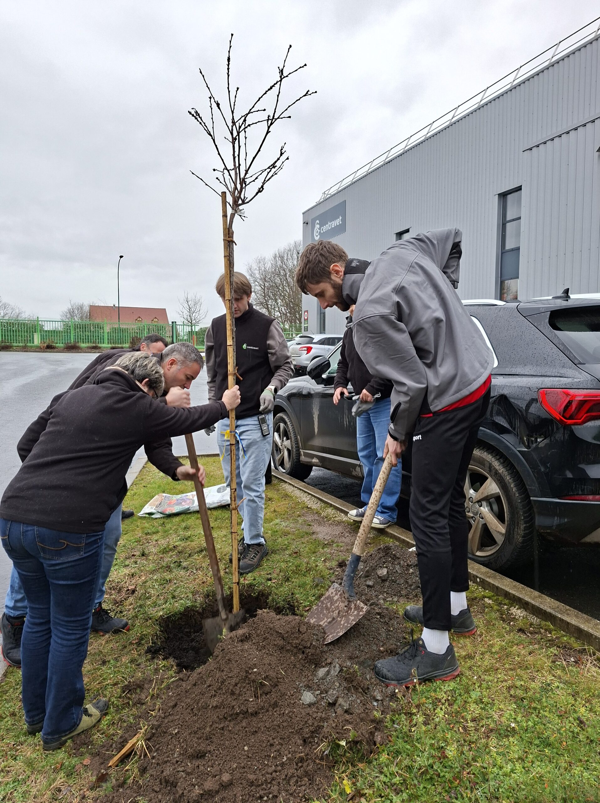 Plantation de l'arbre à Centravet Lapalisse - RSE