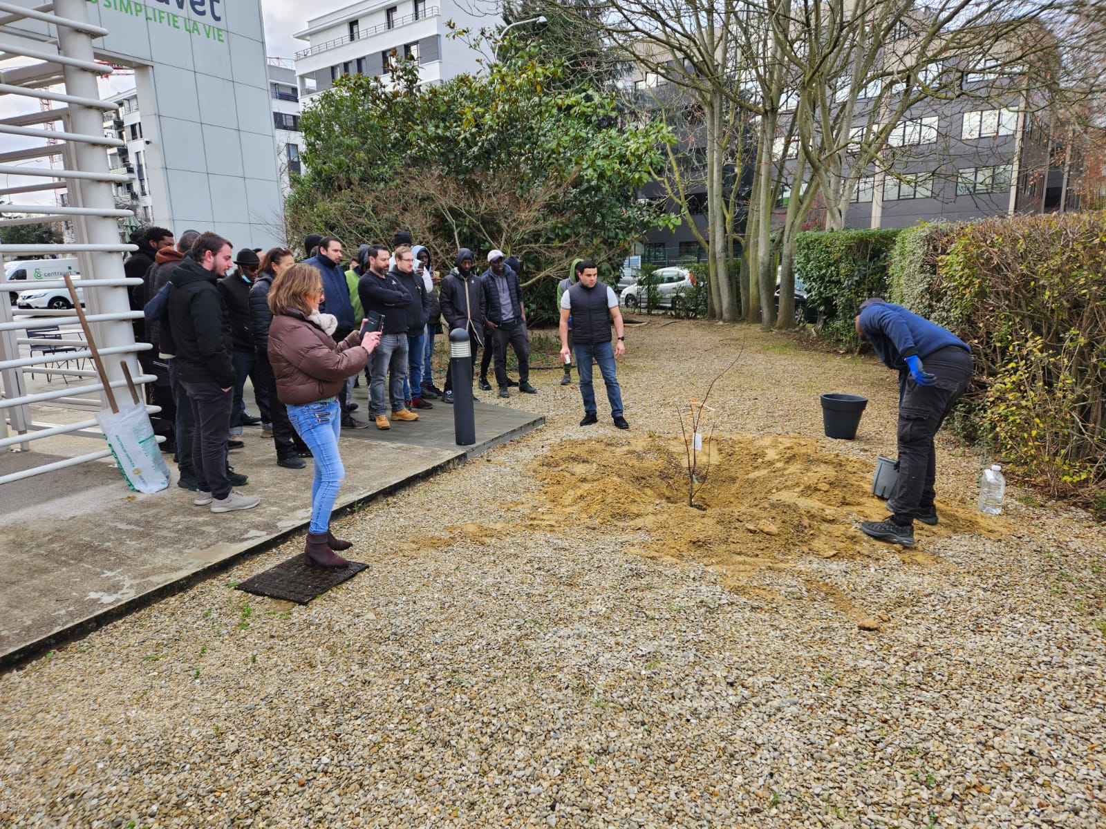 Plantation de l'arbre à Centravet Maisons Alfort - RSE
