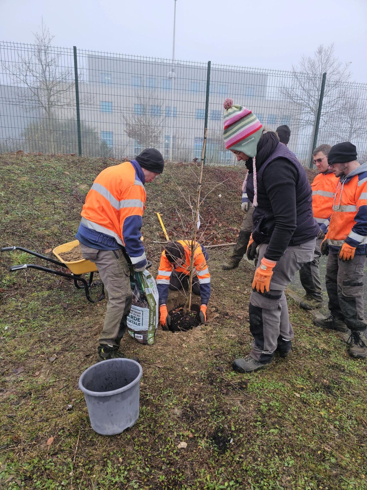 Plantation de l'arbre à Centravet Amiens - RSE