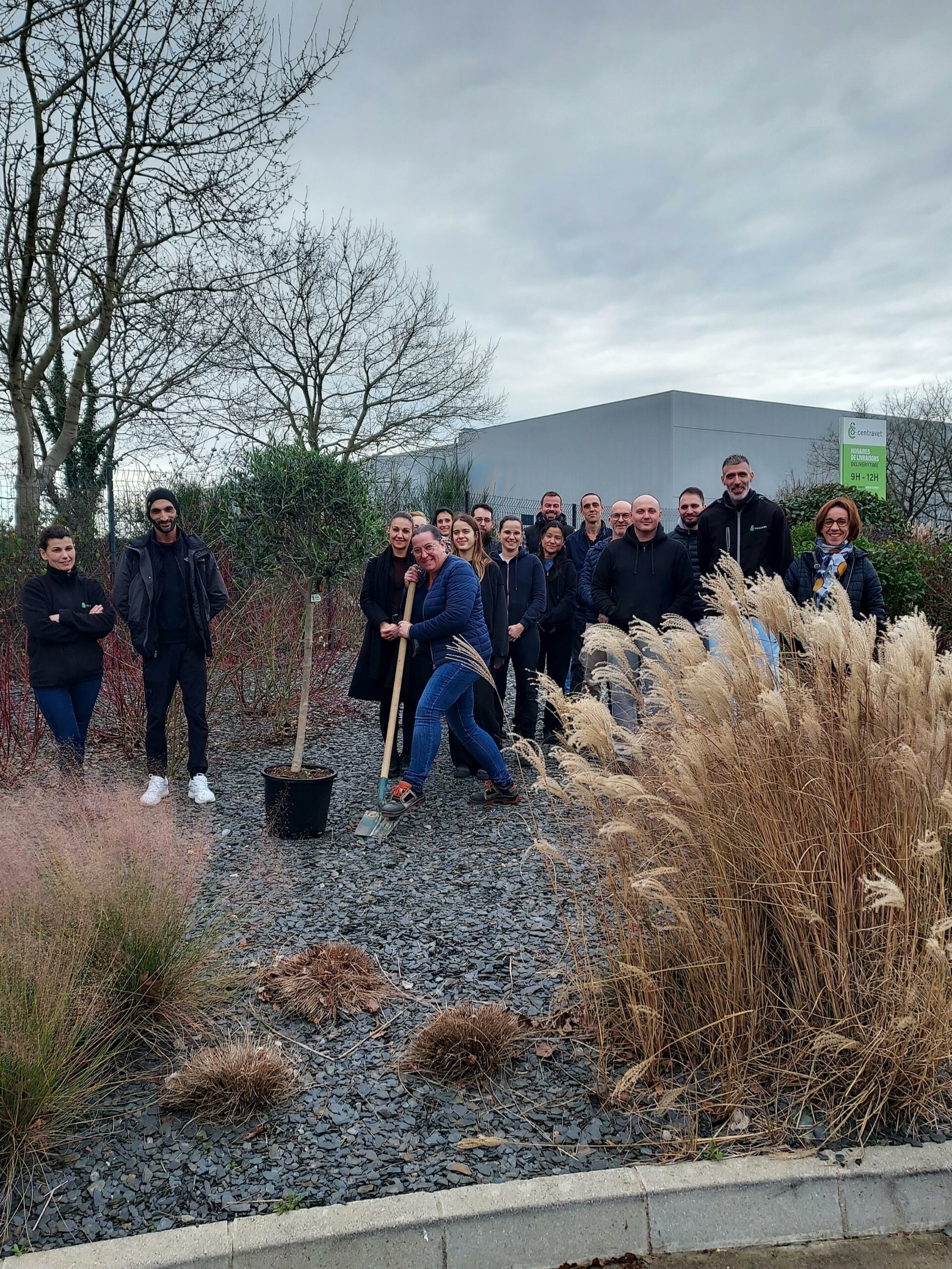 Plantation de l'arbre à Centravet Angers - RSE