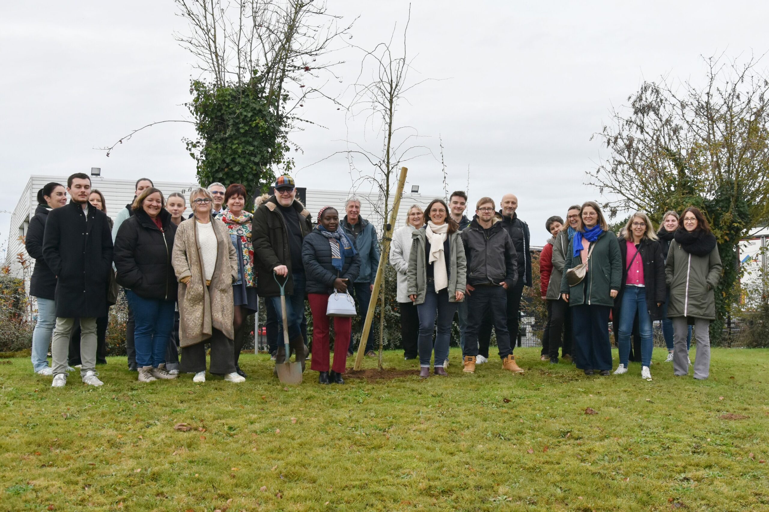 Plantation de l'arbre à Centravet Dinan - RSE